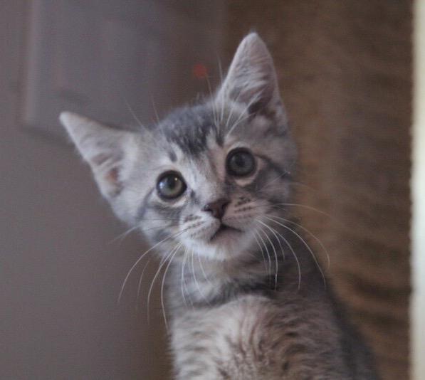 Click for full size picture - Gatsby