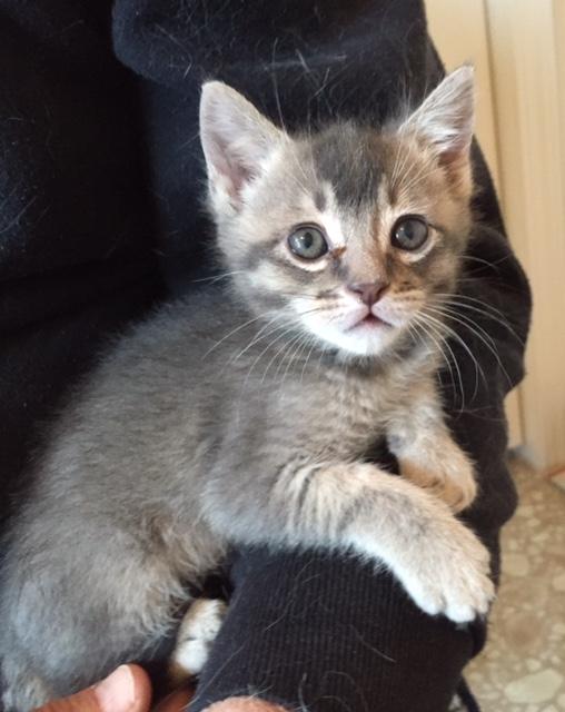Click for full size picture - Gatsby