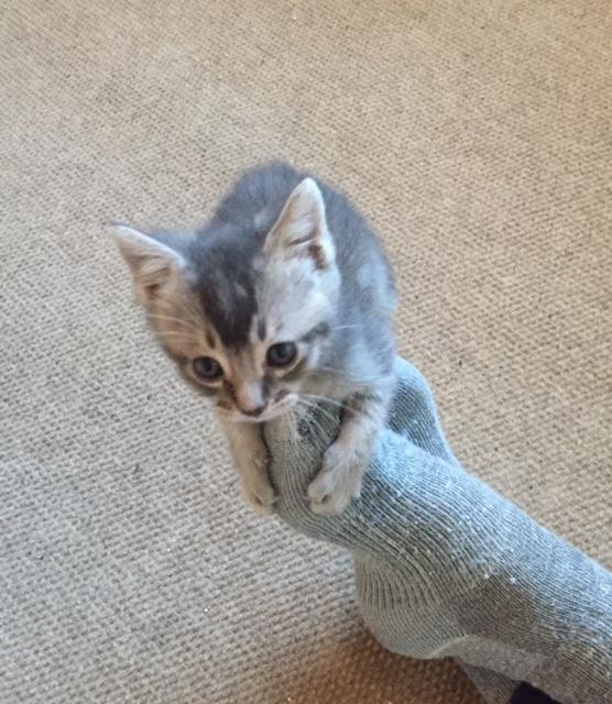 Click for full size picture - Gatsby