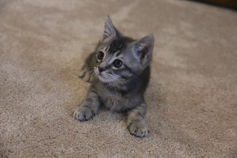 Click for full size picture - Gatsby