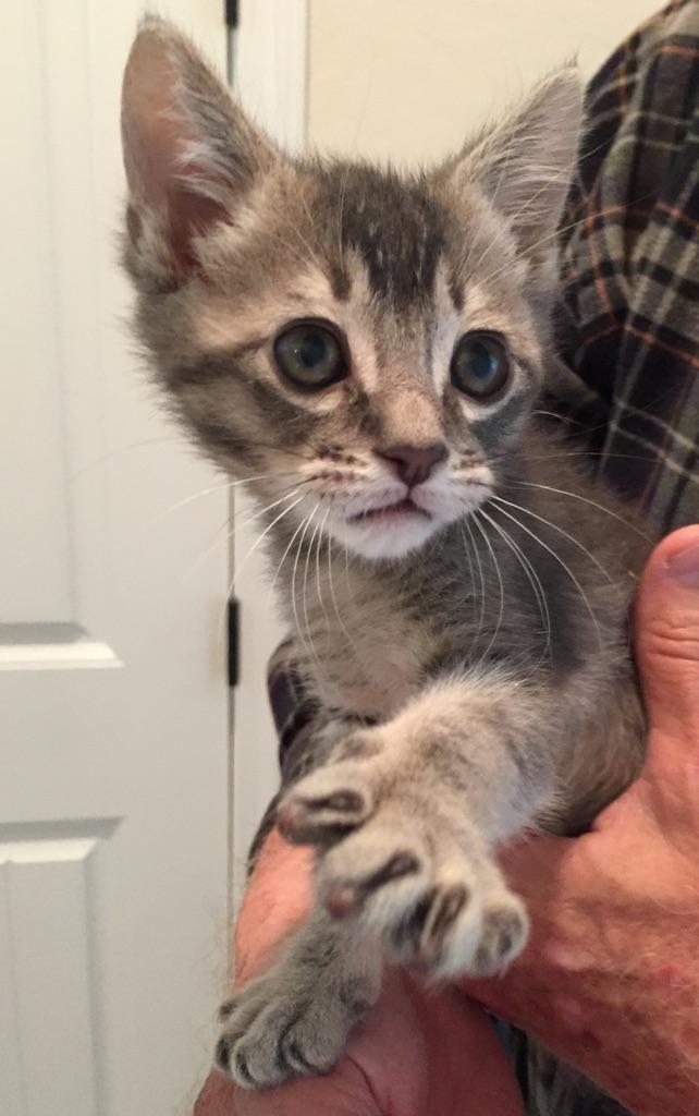 Click for full size picture - Gatsby