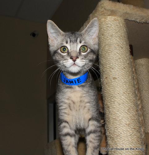 Click for full size picture - Gatsby
