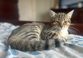 Click for full size picture - Sparky