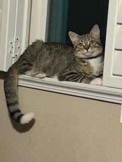 Click for full size picture - Sparky