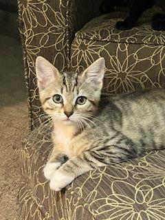 Click for full size picture - Sparky