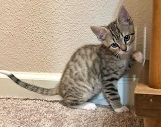 Click for full size picture - Sparky