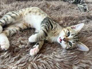 Click for full size picture - Sparky