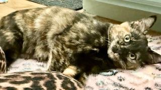 Click for full size picture - Taycie