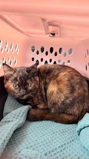 Click for full size picture - Taycie