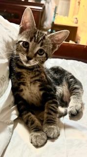 Click for full size picture - Halo