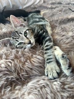 Click for full size picture - Halo