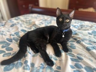 Click for full size picture - Betty