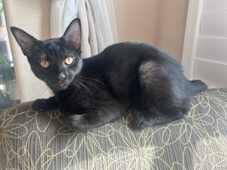 Click for full size picture - Betty