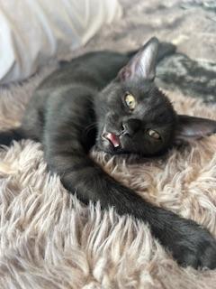 Click for full size picture - Betty