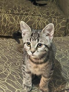 Click for full size picture - Clementine