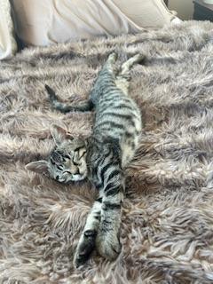 Click for full size picture - Clementine