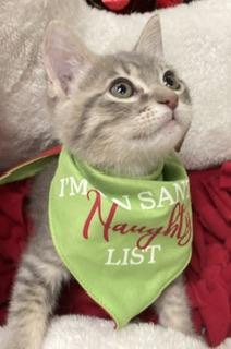 Click for full size picture - Princess