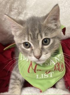 Click for full size picture - Princess