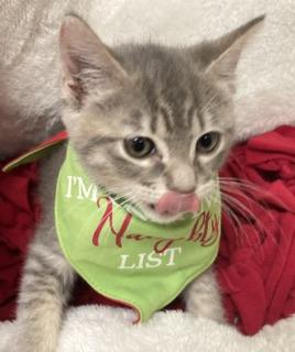 Click for full size picture - Princess