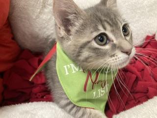 Click for full size picture - Princess