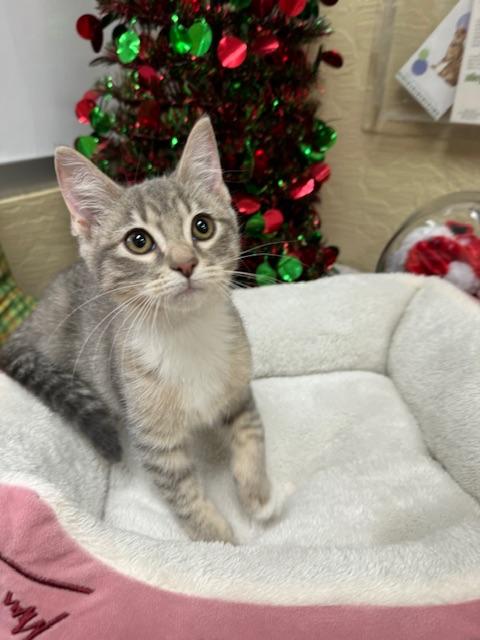 Click for full size picture - Princess