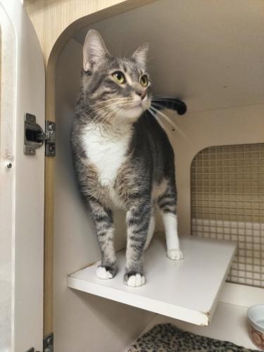 Click for full size picture - Princess