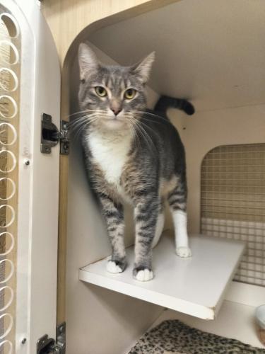 Click for full size picture - Princess