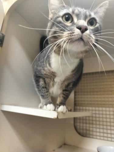 Click for full size picture - Princess