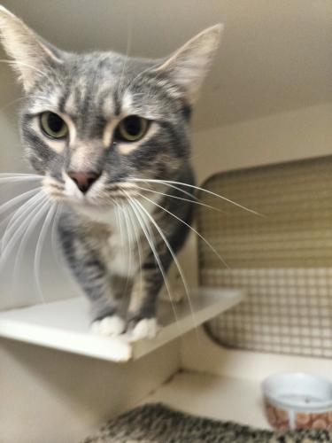 Click for full size picture - Princess