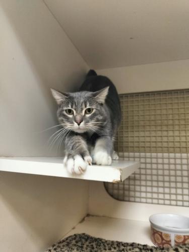 Click for full size picture - Princess