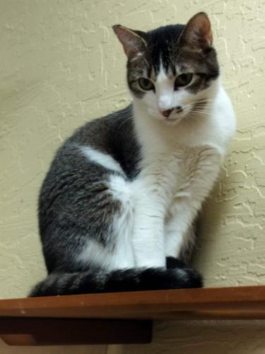 Click for full size picture - Sushi