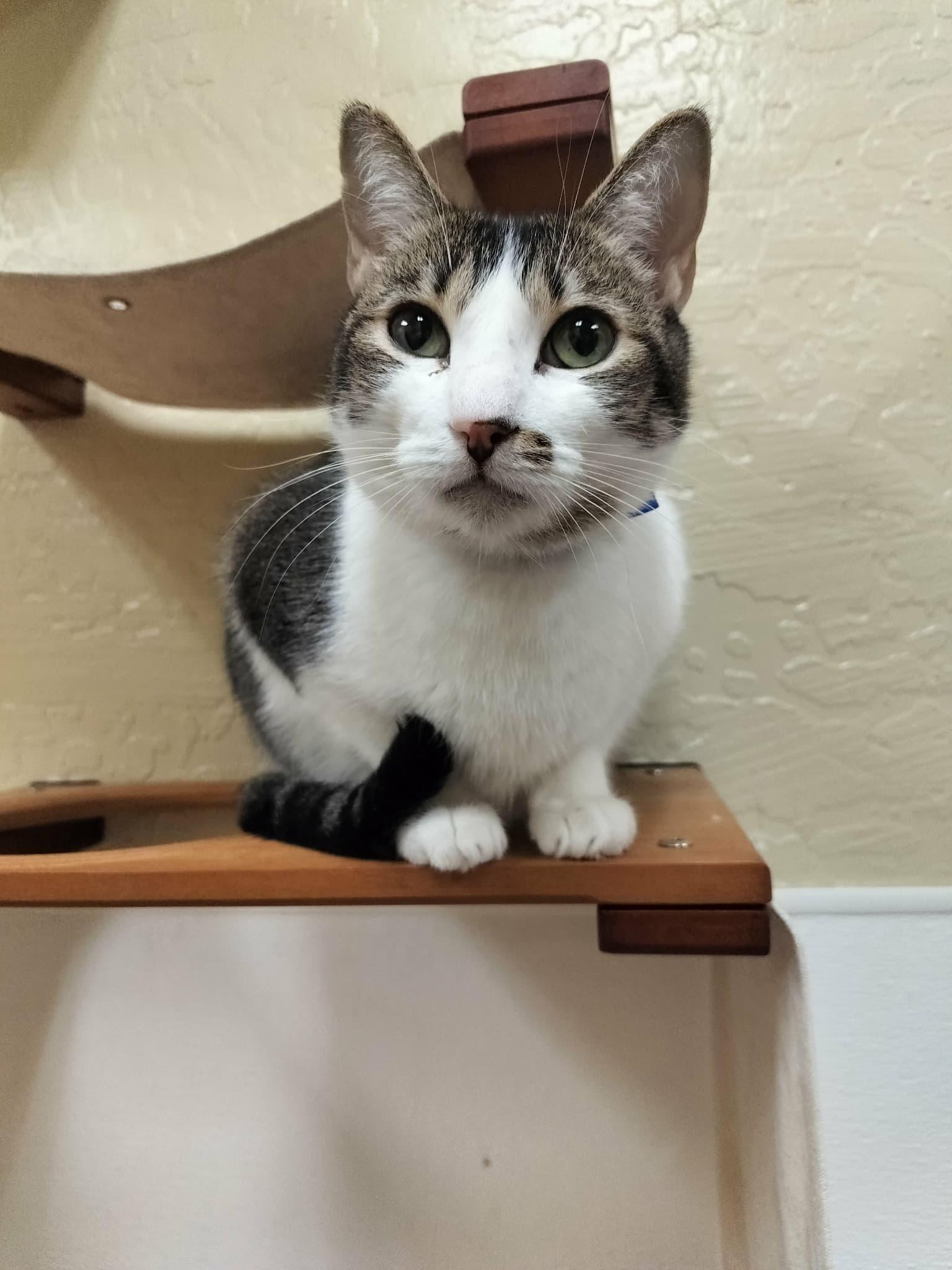 Click for full size picture - Sushi