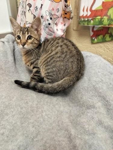 Click for full size picture - Carmie