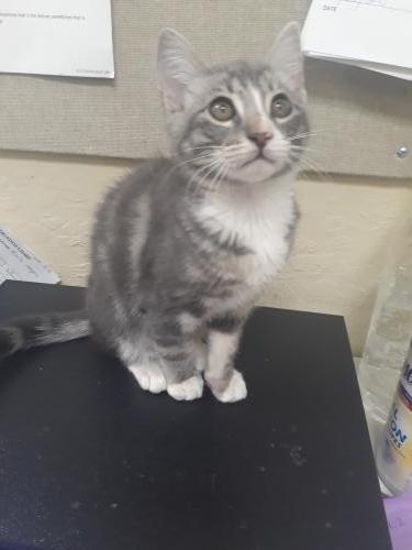 Luna Luna