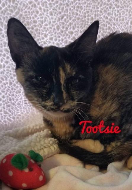 Tootsie Tootsie