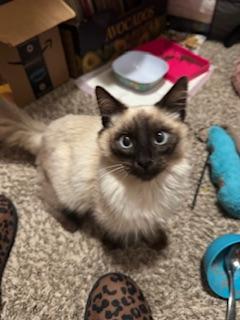 Click for full size picture - Gavin