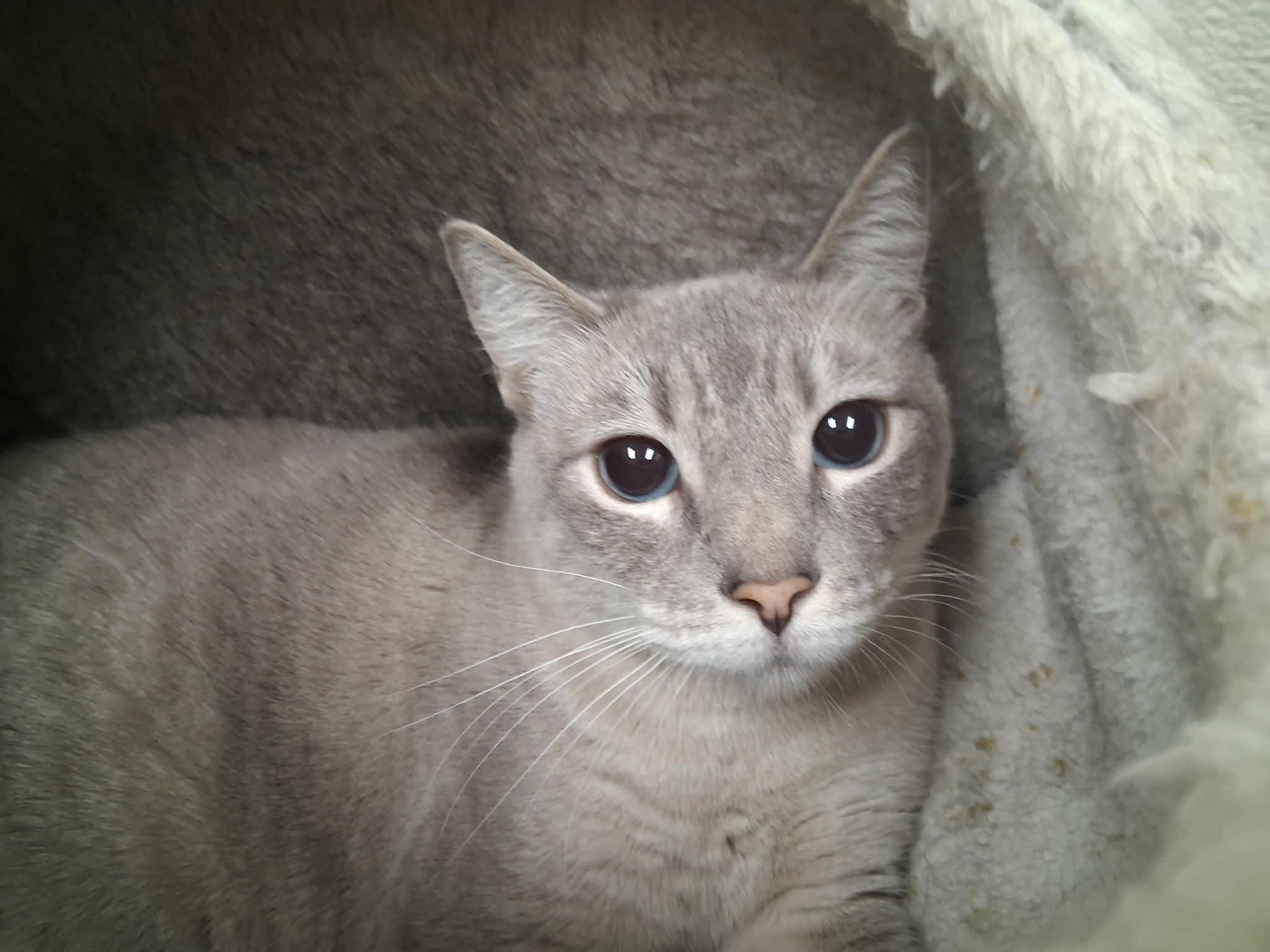 Click for full size picture - Luna