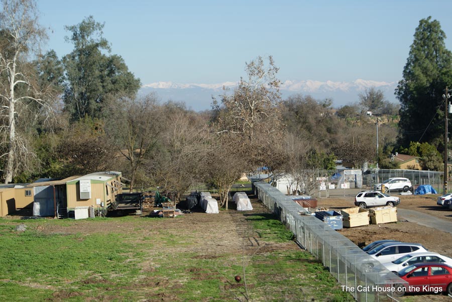 Sanctuary below Snowy Mountains