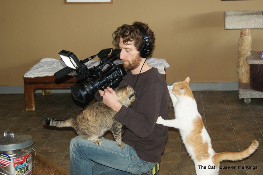 Camera assistants action