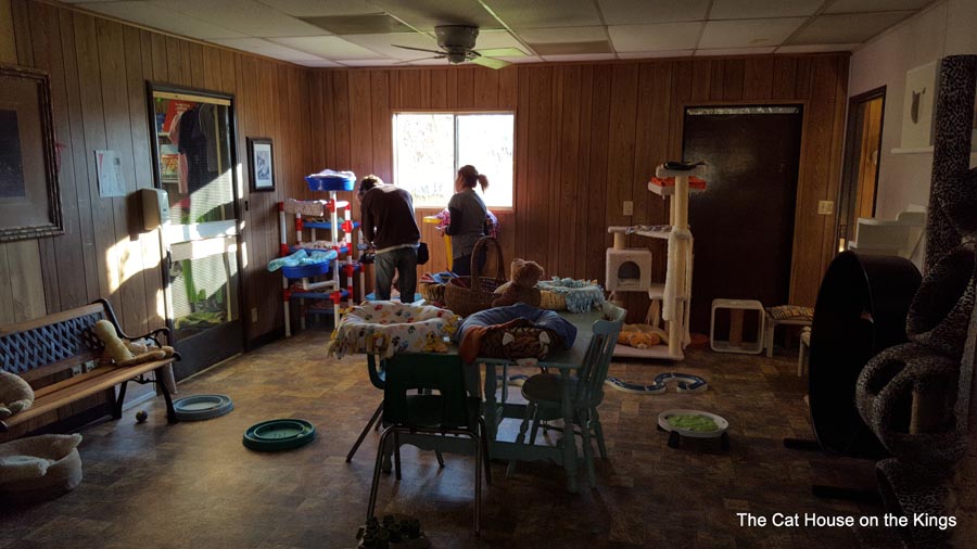 Kitten Quarters Adoption Play Room