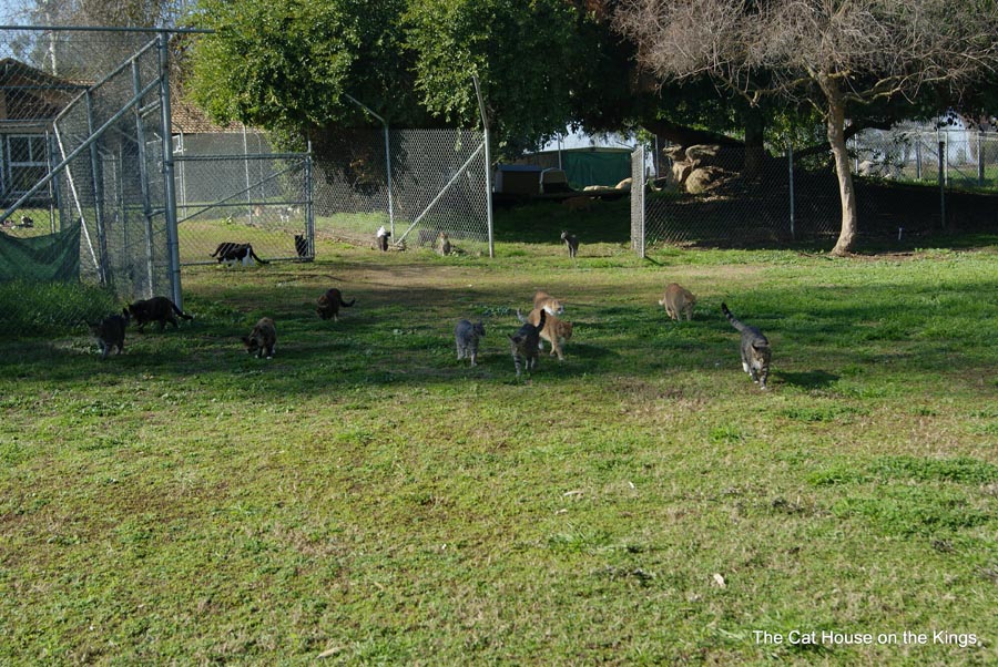 Runs between Main House and Pasture Project