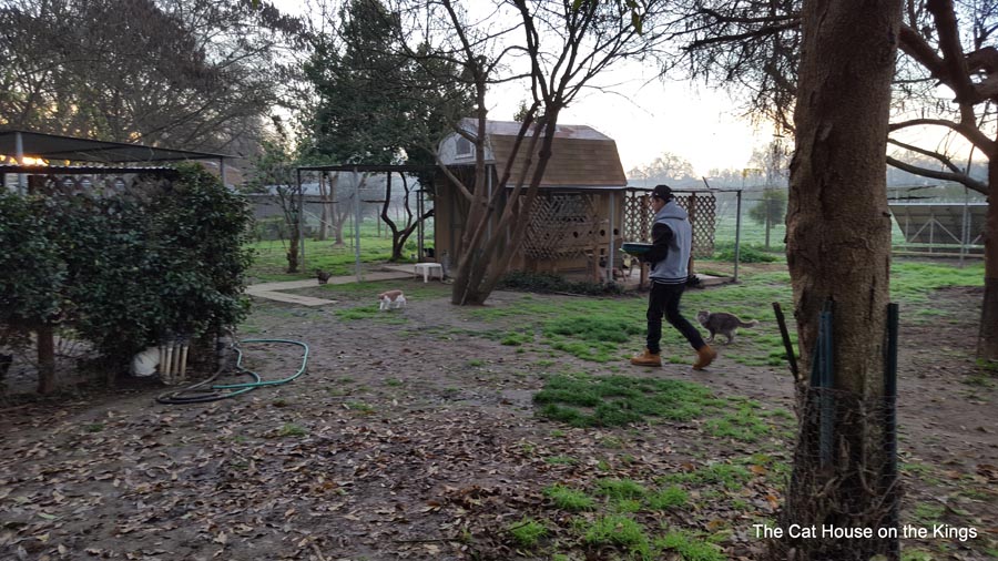 Pasture Project
