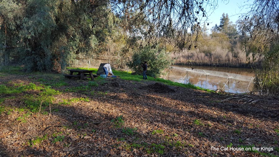 Kings River Feral A Frame