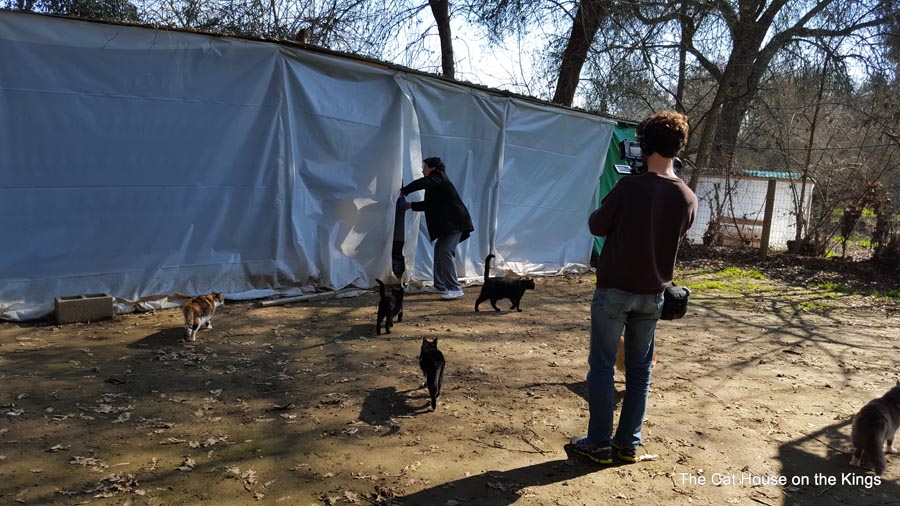 Tent City