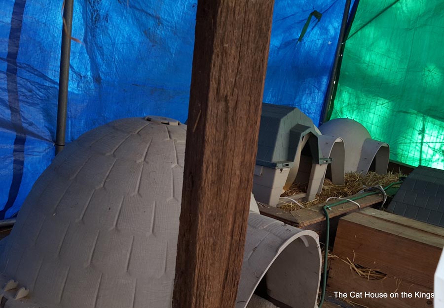 Tent City inside