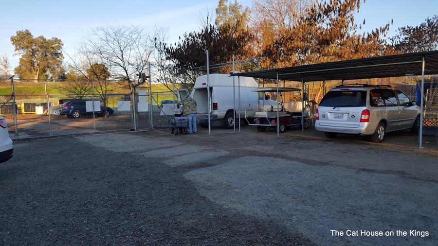 Spay Neuter transport