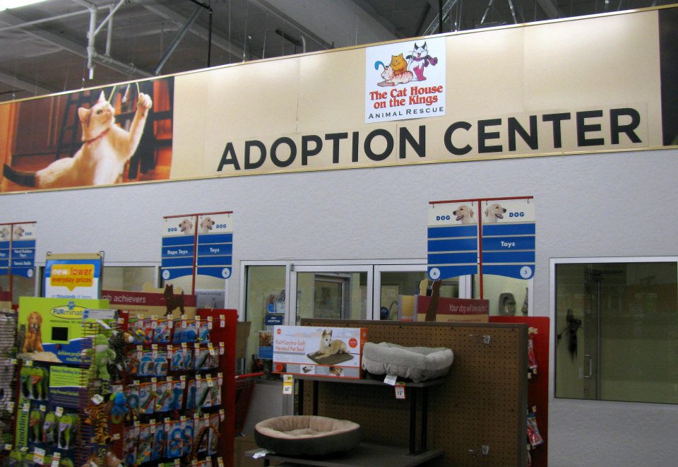 Petco Adoption Center, Fresno