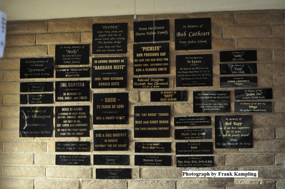 Dedication Wall - Click to enlarge Dedication Wall - Click to enlarge