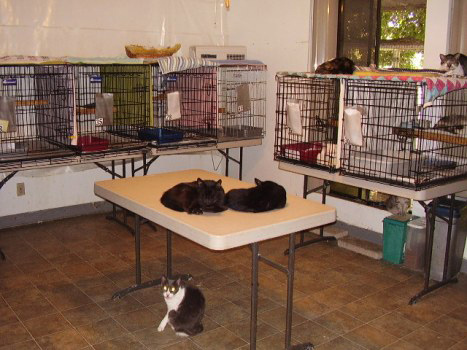 Short-Term Moderate Quarantine Wing - Click to enlarge Short-Term Moderate Quarantine Wing - Click to enlarge