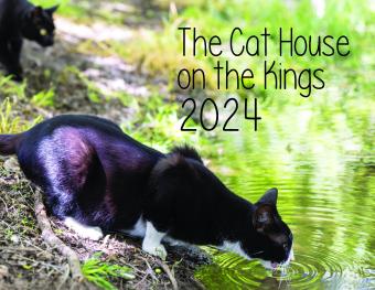 Cat house on sales the kings adoption